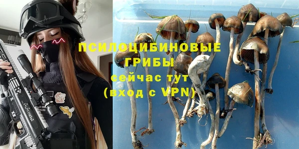прущая мука Алзамай